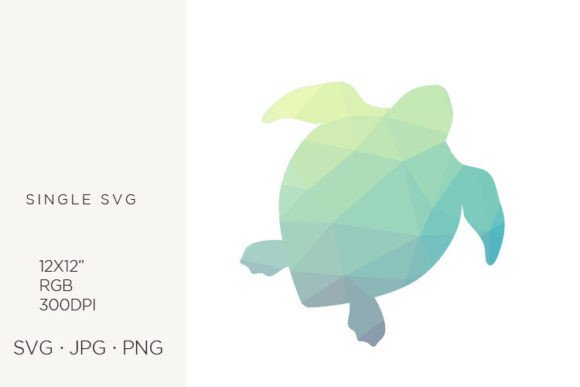 Geometrical Pattern, Sea Turtle Graphics and Icons Review