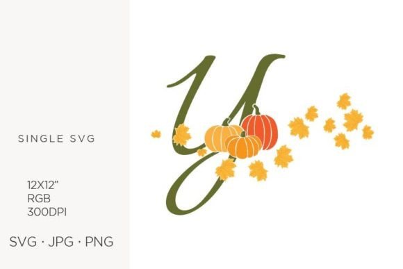 Y Letter, Autumn, Leaves and Pumpkin Review